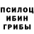 Галлюциногенные грибы мицелий Pin Channel