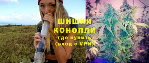крисы Армянск