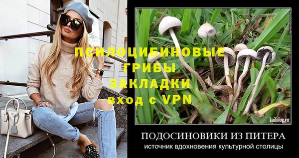 крисы Армянск